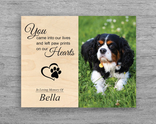 Pet Sympathy Photo, Dog Memorial Picture, Pet Loss, In Memory of Pet, Pet Memorial Plaque, Cat Keepsake, Pet Memorial Gift